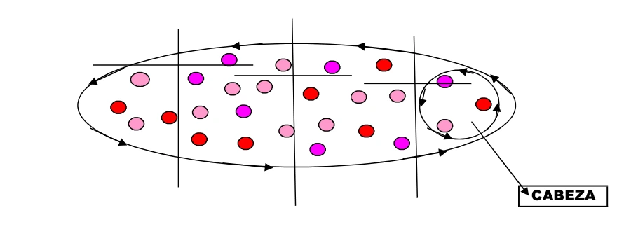 Esquema de culebrilla